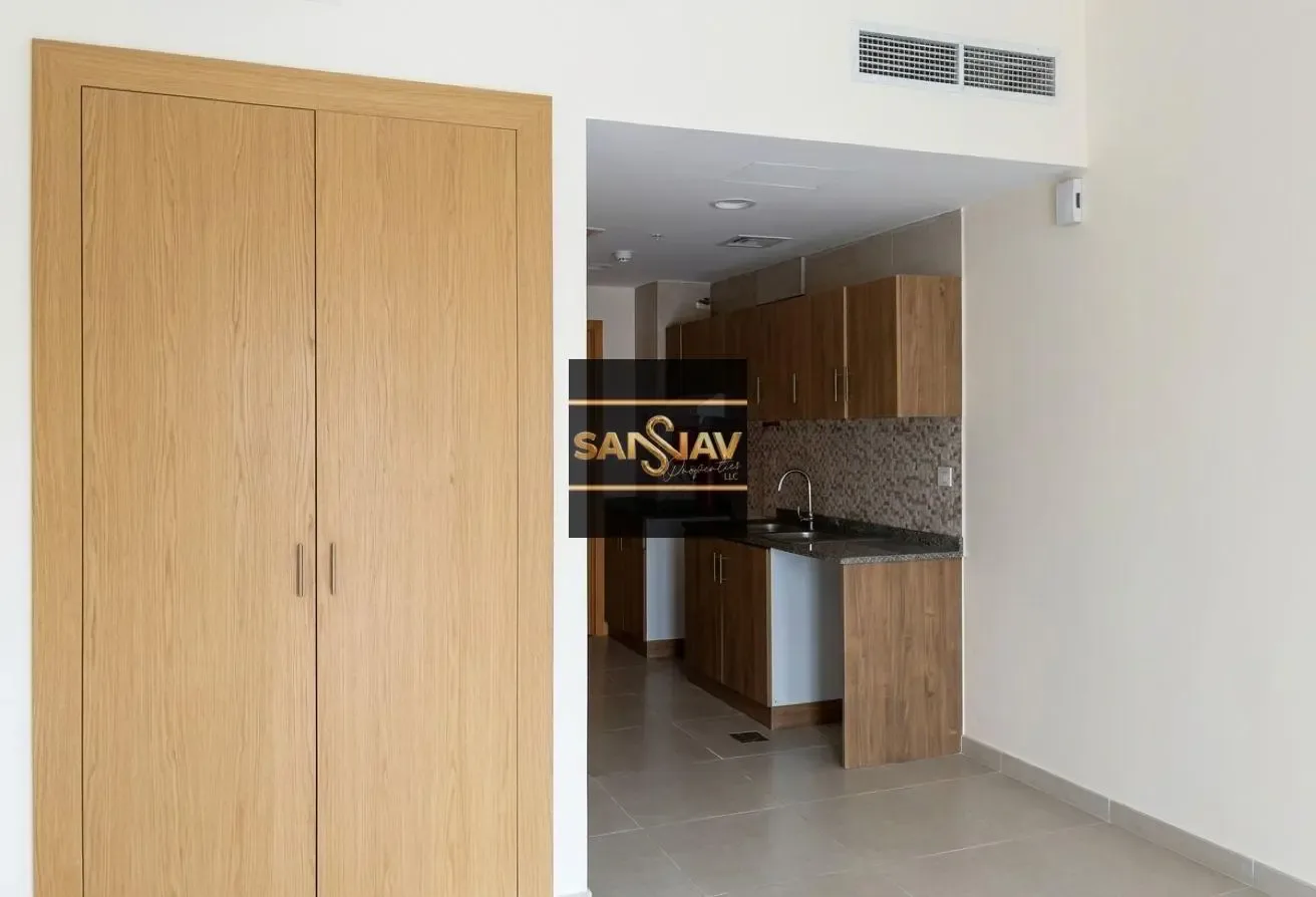 Spacious Studio in May Residence